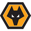 wolverhampton wanderers Image